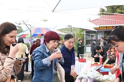 Chương trình Du xuân hữu nghị:Kết nối Thủ đô và bạn bè quốc tế