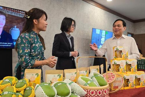 Nông dân đổi mới sáng tạo, sản xuất xanh đạt lợi nhuận cao