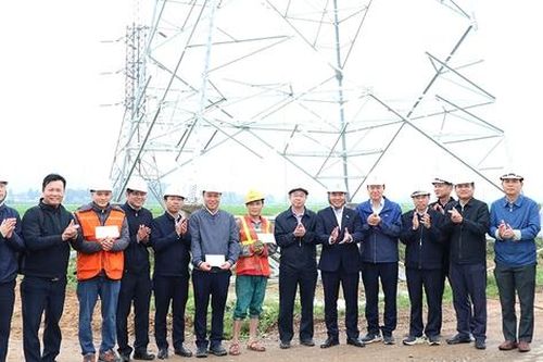 Phấn đấu đưa cụm dự án đường dây 220kV Tương Dương – Đô Lương – Nam Cấm về đích sớm