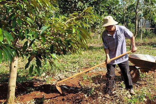 Sử dụng thuốc bảo vệ thực vật an toàn, hiệu quả