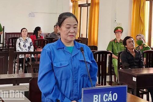 Kiên Giang: Lĩnh án 6 năm tù vì tạt axit khiến chồng tử vong