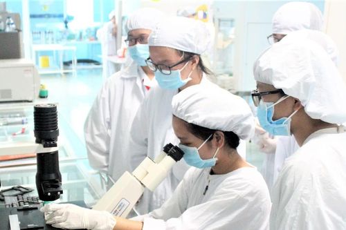Ngành giáo dục khẩn trương sắp xếp, tinh gọn bộ máy