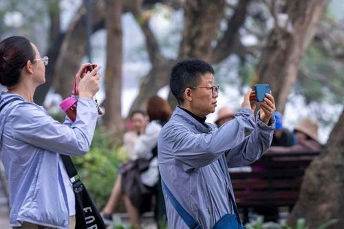 Trung Quốc vươn lên là thị trường khách du lịch hàng đầu Việt Nam