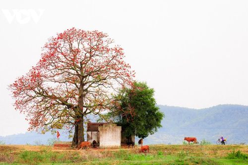 Tháng 3 ân tình với mẹ