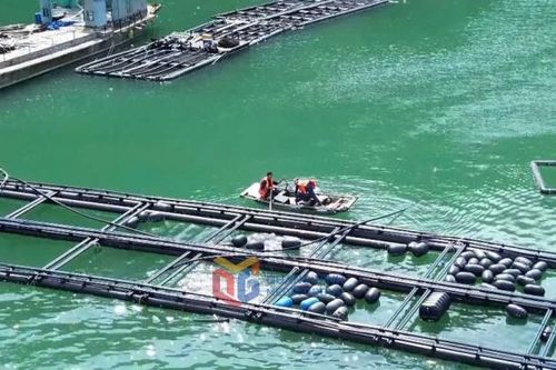 Quảng Ninh tập trung giải quyết, tháo gỡ vướng mắc thủ tục nuôi trồng thủy sản