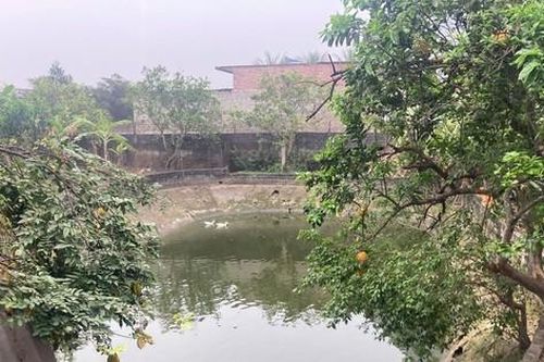 Hai cháu bé trong một gia đình ở Bắc Giang tử vong tại ao nuôi cá