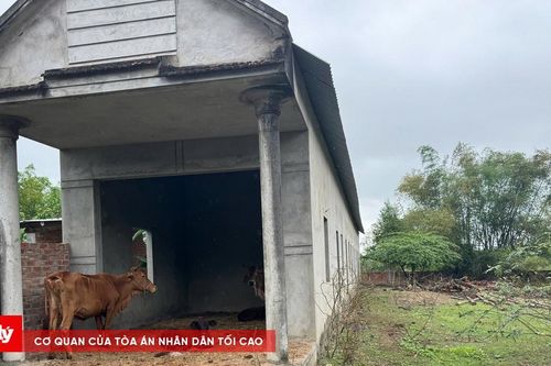 Bình Định: 'Ồ ạt' xây dựng chờ đền bù để trục lợi