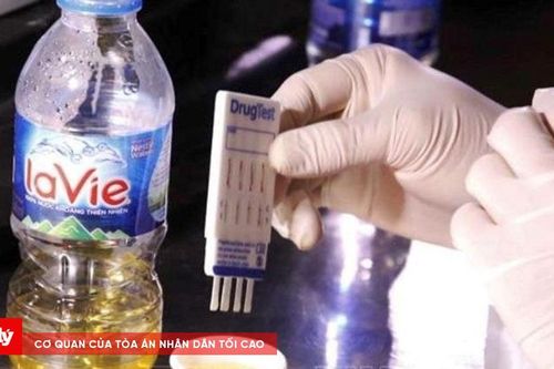 Một tài xế bị xử phạt vì điều khiển xe dương tính với chất ma túy