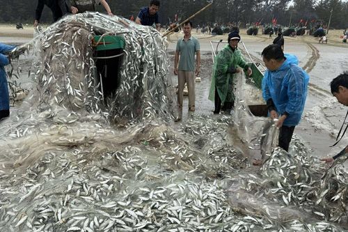 Vừa trúng đậm 1,5 tấn cá trích, thuyền của ngư dân bị sóng đánh lật