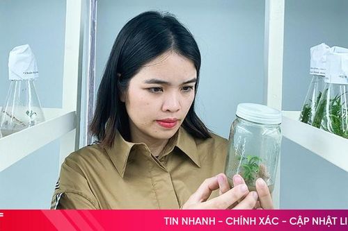 Ứng dụng KHKT phát triển nguồn gen các loại cam đặc sản Hà Tĩnh