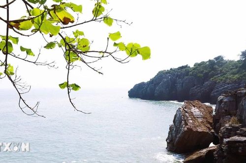 Chiêm ngưỡng vẻ đẹp hoang sơ của biển Quỳnh