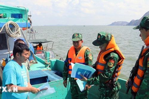Phòng chống khai thác IUU: Kiên Giang xử lý triệt để tàu cá '3 không'