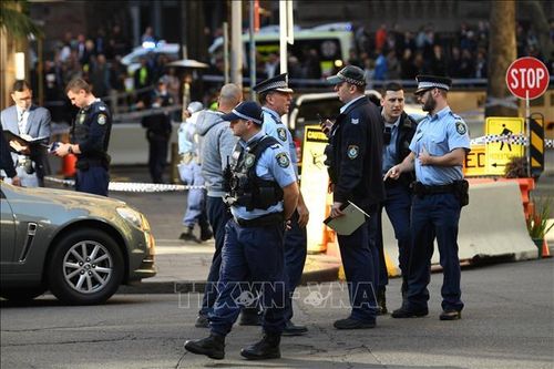 Dàn dựng âm mưu tấn công giả nhằm vào giáo đường Do Thái ở Sydney