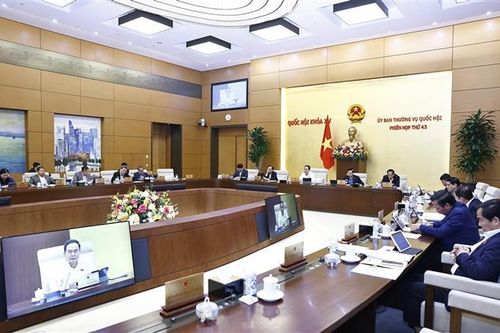 Tình trạng phạm tội của người chưa thành niên có xu hướng tăng