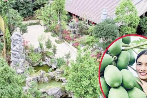 Cuộc sống an yên trong biệt phủ hơn 8.000m2 của nữ NSND chuẩn bị có bến đỗ mới ở tuổi 43