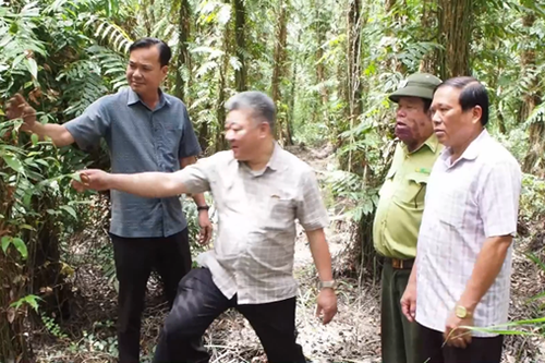 Hơn 17.540 ha rừng ở Cà Mau có nguy cơ bị cháy