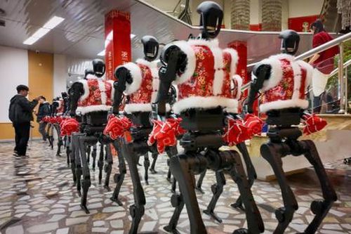 Trung Quốc tham vọng dẫn đầu ngành robot hình người