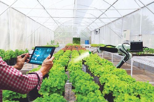 Phát triển nông nghiệp bền vững thông minh