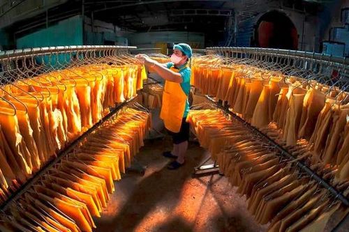 Cuộc thi Ảnh đẹp Đồng Nai năm 2025
