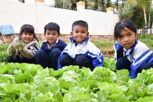 Dạy học gắn với trải nghiệm