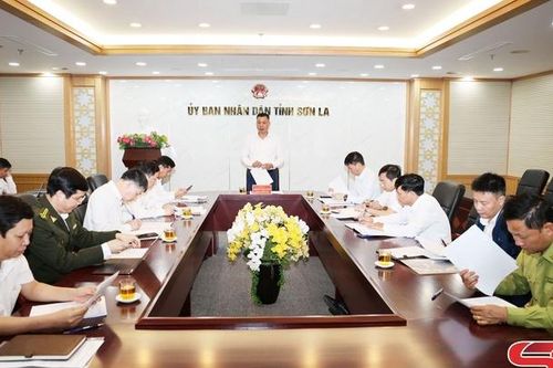 Quản lý sử dụng quỹ bảo vệ và phát triển rừng hiệu quả