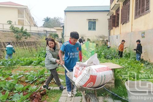 Trường học nông trại - gieo ước vọng xanh