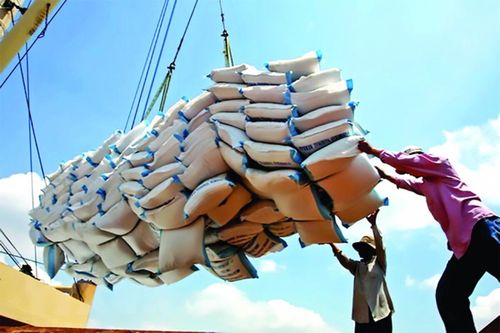 Ngành gạo Việt Nam ảnh hưởng thế nào khi Ấn Độ dỡ bỏ lệnh cấm xuất khẩu gạo?