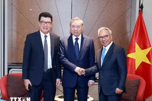 Tổng Bí thư Tô Lâm tiếp lãnh đạo doanh nghiệp hàng đầu Indonesia: Thúc đẩy hợp tác đầu tư chiến lược