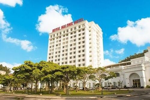 Công ty Quốc tế Hoàng Gia (RIC) lỗ thêm gần 29 tỷ đồng trên BCTC kiểm toán 2023, cổ phiếu tiếp tục bị hạn chế giao dịch