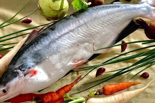 Cách phân biệt cá dứa và cá ba sa