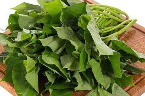 Phát hiện tuyệt vời: Ăn rau khoai lang giúp làm chậm sự phát triển của tế bào ung thư