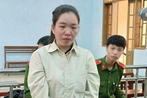 15 năm tù cho người phụ nữ vỡ nợ lừa đảo chiếm đoạt tài sản