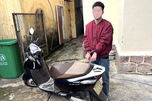 Sa lưới sau 24 giờ gây án