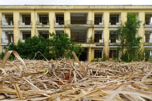 Xót xa khu nội trú cho học sinh, giáo viên bỏ hoang, trở thành ruộng mía