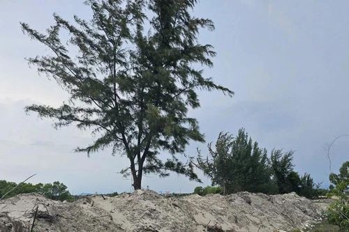 Chuyên án đất đai ở Bà Rịa – Vũng Tàu: Đề nghị truy tố nhiều cán bộ nhận hối lộ
