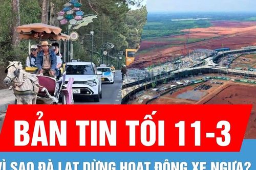 Bản tin tối 11-3: Điều chỉnh quy mô, tiến độ dự án xây sân bay Long Thành | Vì sao Đà Lạt dừng hoạt động xe ngựa?