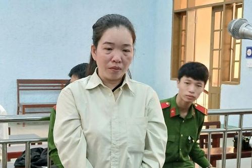 Gia Lai: Người phụ nữ lừa hơn 6,5 tỷ đồng của người khác để trả nợ và tiêu xài