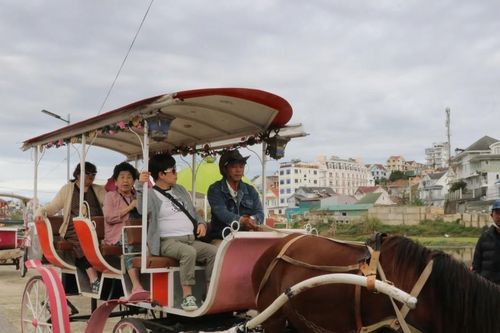 Đà Lạt không cấm dịch vụ vận chuyển khách du lịch bằng xe ngựa