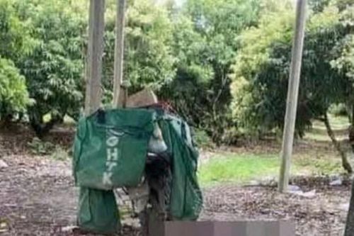 Phát hiện một nhân viên giao hàng tử vong gần một chòi rẫy