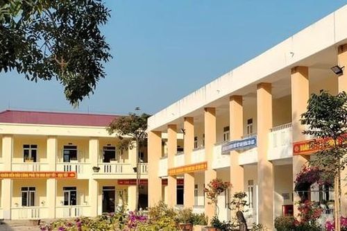 Đình chỉ cô giáo ở Thanh Hóa tự ý cắt tóc học sinh