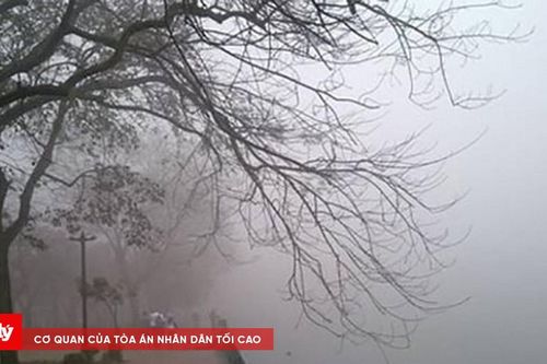 Thời tiết ngày 11/3: Bắc Bộ trời ấm, mưa phùn, sương dày