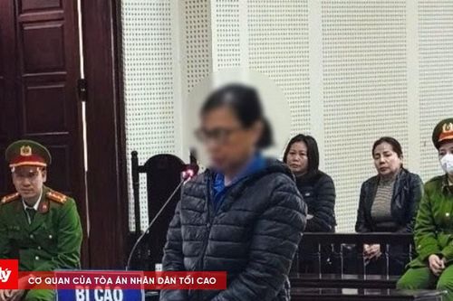 Lừa bán đất ảo cho nhiều người, lĩnh án 29 năm tù