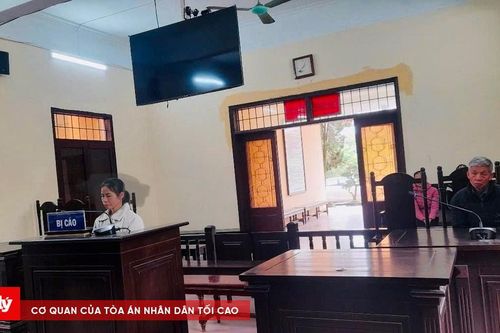Giao xe máy điện cho con đi, người mẹ bị phạt 6 tháng tù