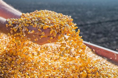 Thủ tướng yêu cầu rà soát sắc thuế đang áp dụng với Mỹ và các nước
