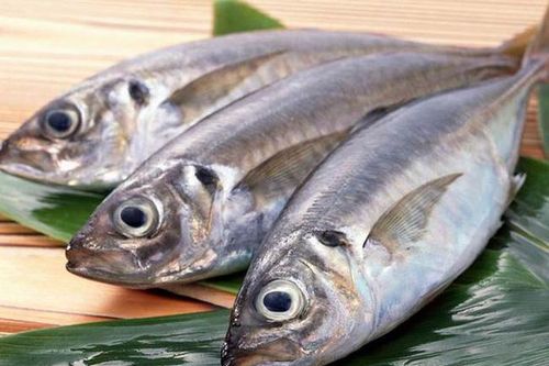 Ăn cá bổ dưỡng nhưng tránh 4 loại có thể gây ung thư