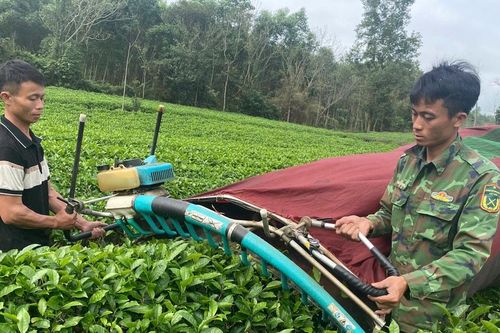 Những con số đáng chú ý của nông nghiệp Nghệ An