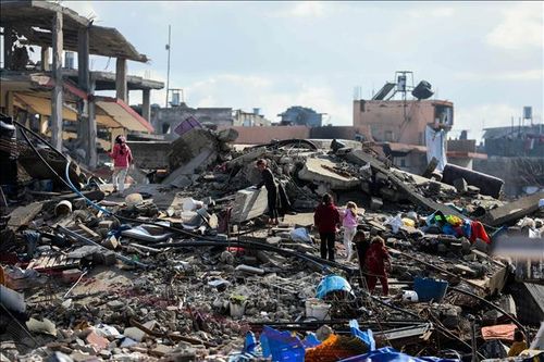 Ai Cập và Saudi Arabia thảo luận về Gaza, Syria