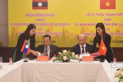 Tỉnh Attapeu (Lào) mong muốn học hỏi Đắk Lắk về kinh nghiệm mở rộng thị trường
