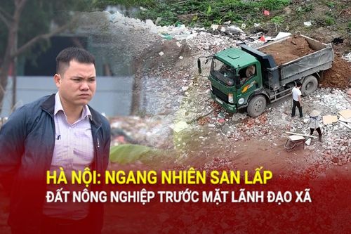 Hà Nội: Ngang nhiên san lấp đất nông nghiệp trước mặt lãnh đạo xã
