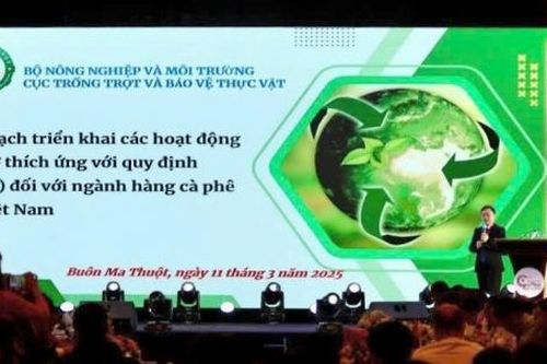 Ngành cà phê: Cần xây dựng kế hoạch cụ thể để thích ứng với EUDR